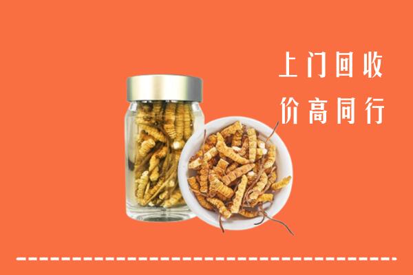 北京市通州回收冬虫夏草