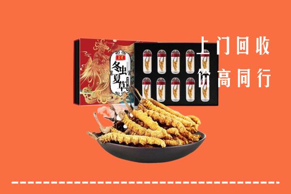 北京市通州回收虫草